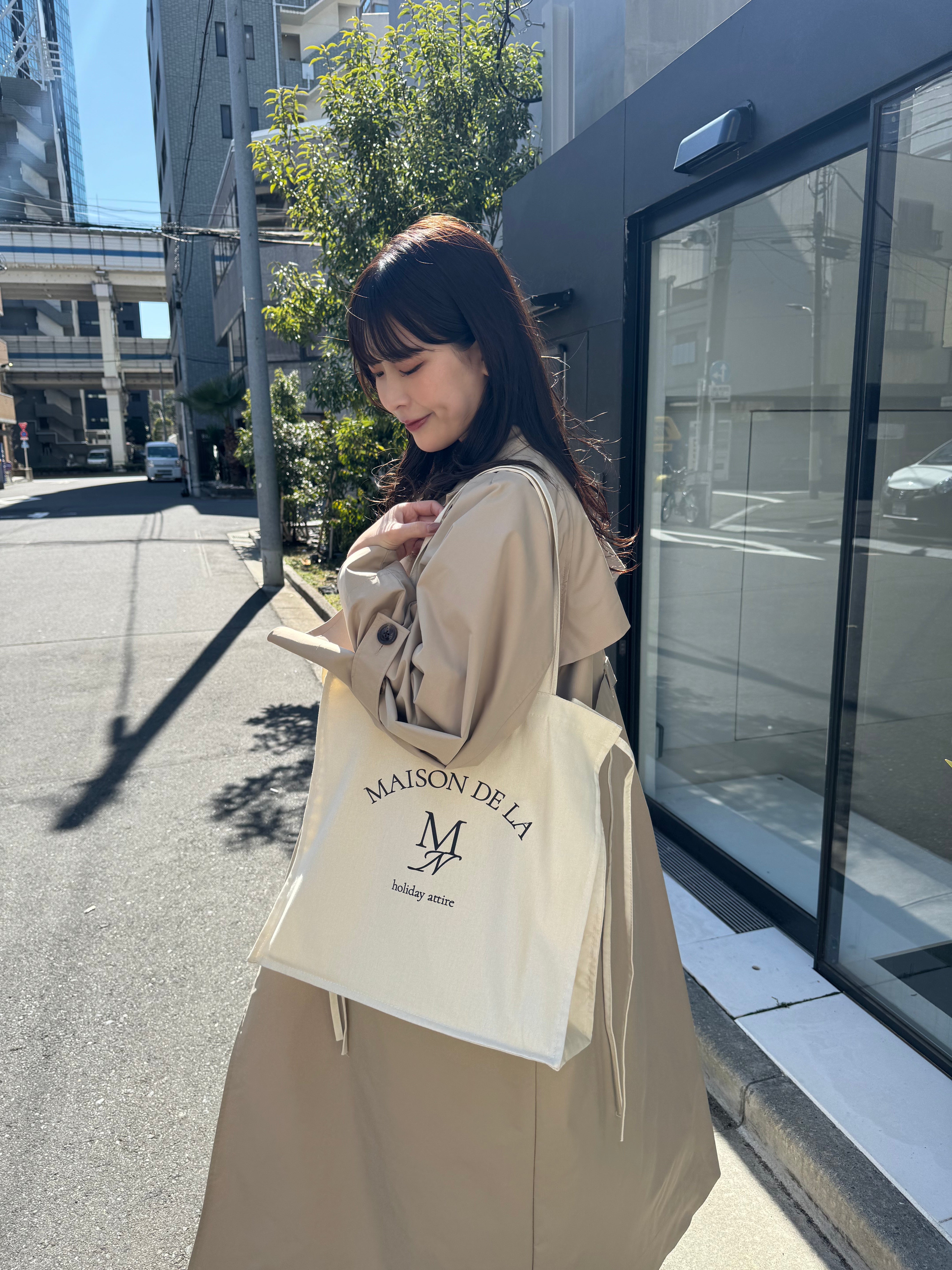 顏色肋骨手提袋