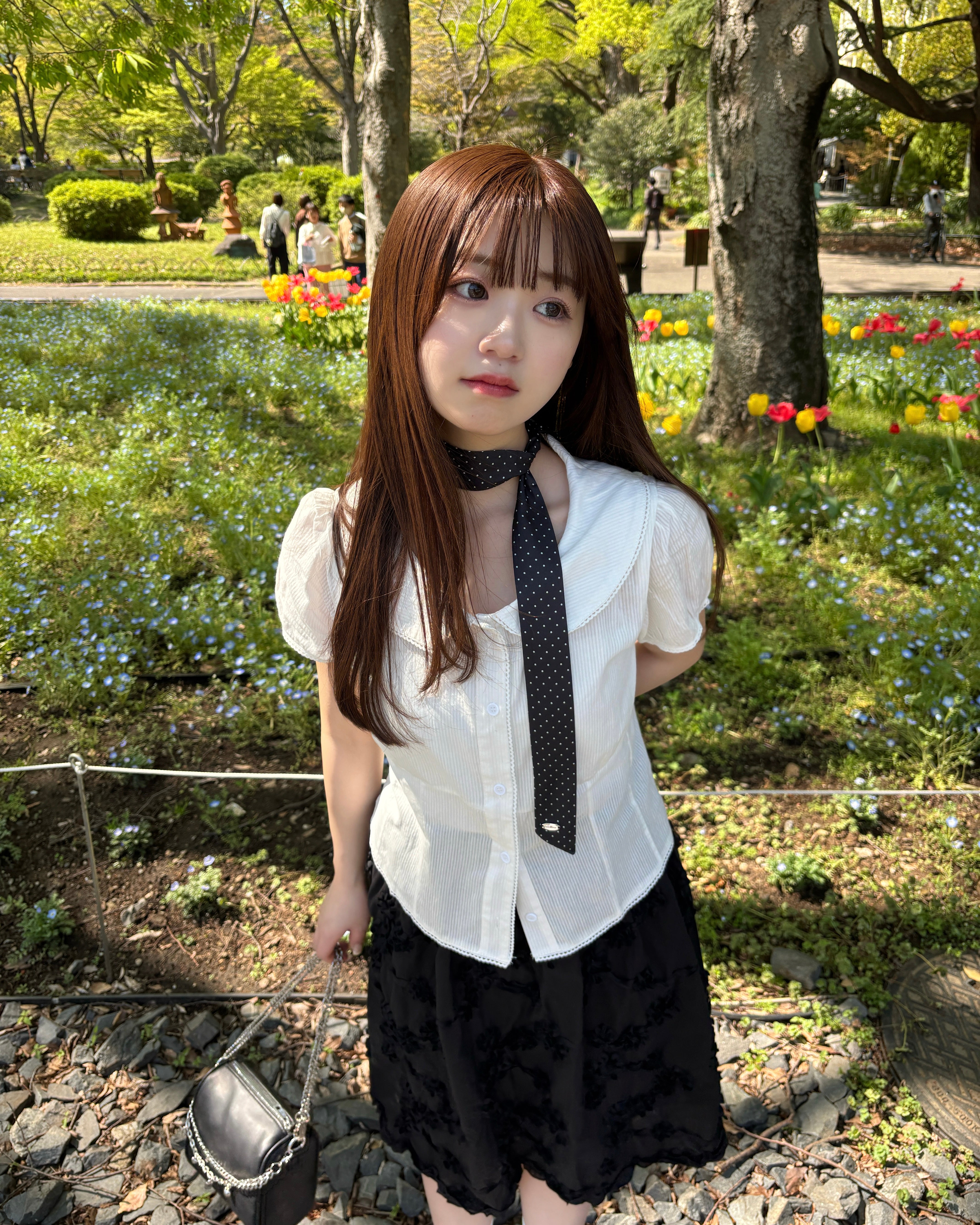 バックリボンキャップスリーブブラウス