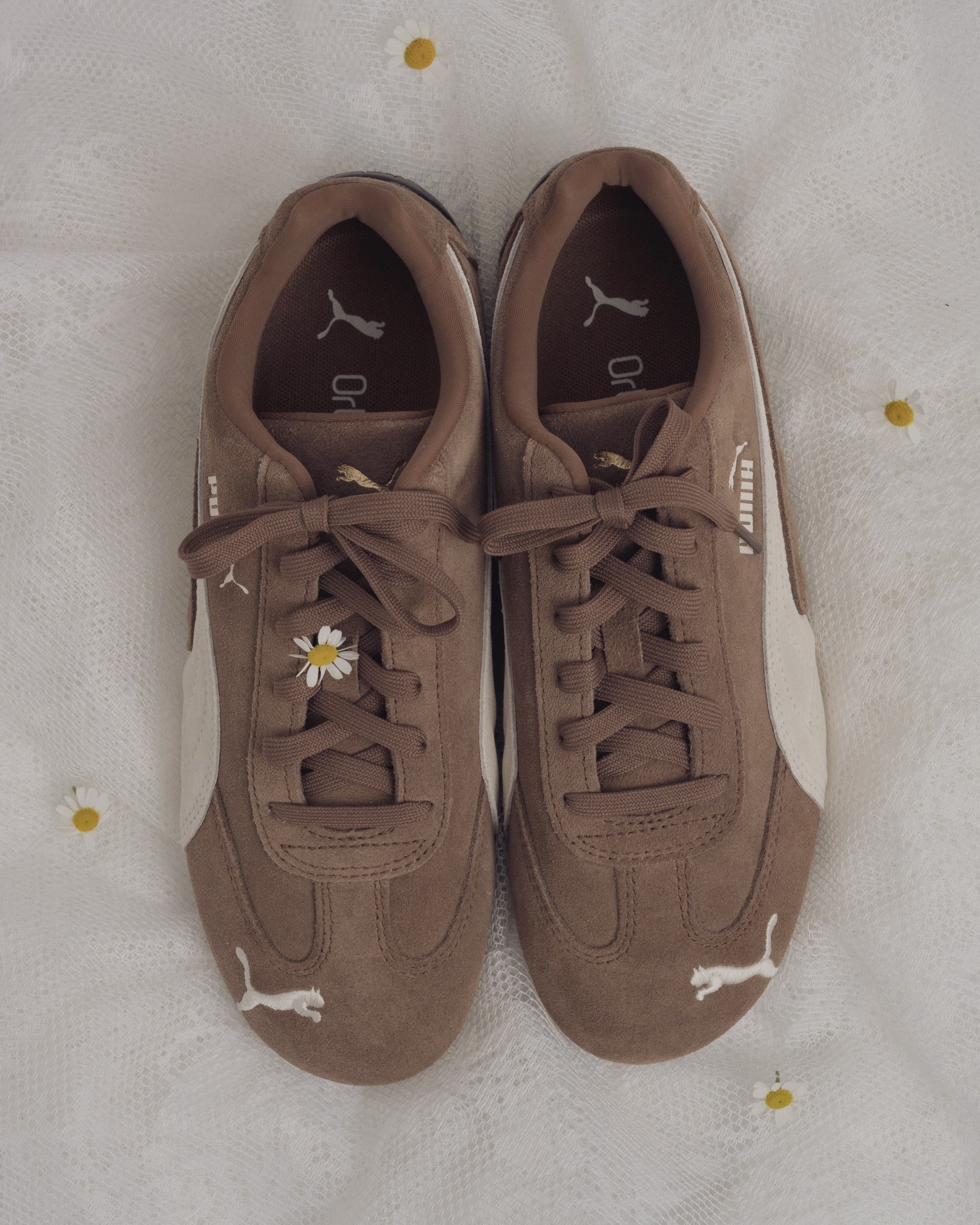 【PUMA】SPEEDCAT OG